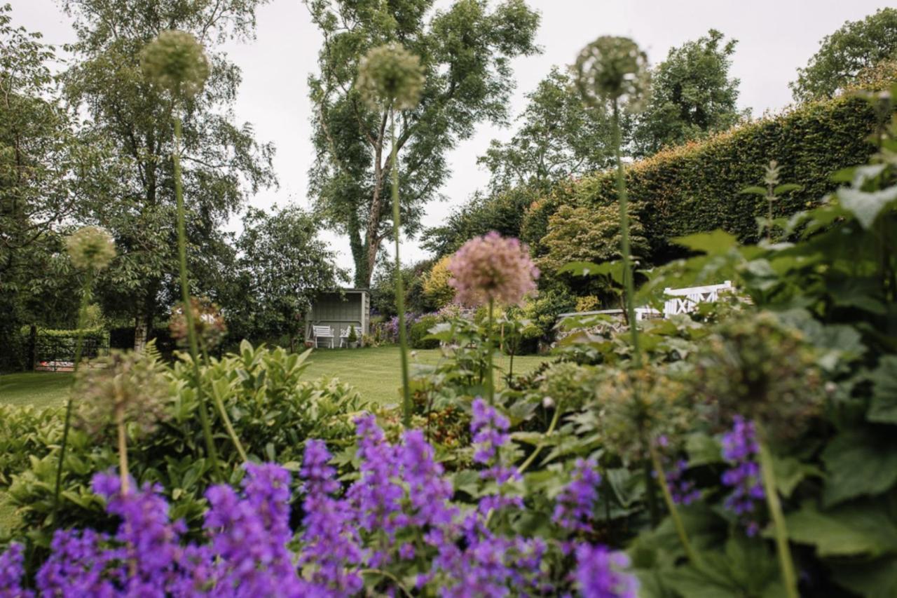 Bay Tree Cottage Hillsborough Exteriér fotografie